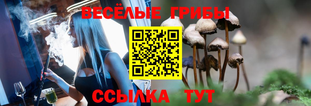 купить наркоту  Галлюциногенные грибы прущие грибы  Уварово  Вход с VPN  Галлюциногенные грибы Psilocybe 